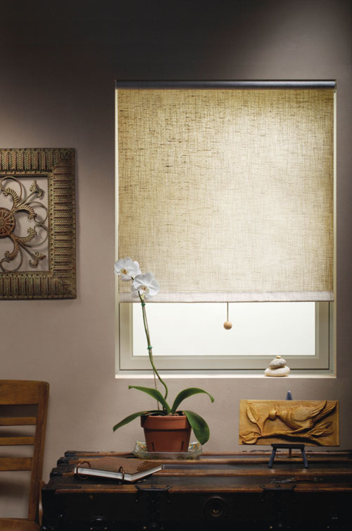 Bali Mountainside Light Filtering Roller Shade (5909 Blinds) photo