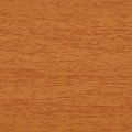 2039 Maple
