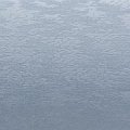 Marine_7163