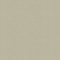 Ash Metallic 126