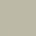 Gray Dawn