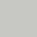Gray Haze 983