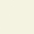 Matte White 042