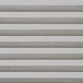 Gray Whisper  1373