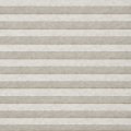White Oak  0611