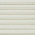 Ant White  1461
