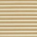 5166 Candlelight