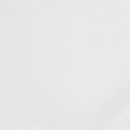 Snow_white_1724.jpg