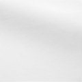 White_1741.jpg