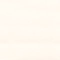 Picket Fence 1051