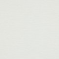 14604 Subdued White