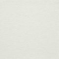 16302 White Pearl