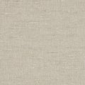 21375 Bare Dirt