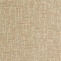 Birch 2510