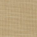Moccasin 0231