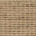 Almond 1562