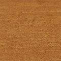 COLONIAL_PINE_12078082