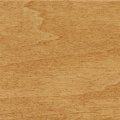 GOLDEN_OAK_12002771