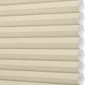 ABL1-4756 Ginger Root