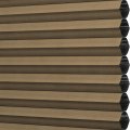 CLC3-6051 Russet