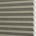 LDC1-4811 Fossil