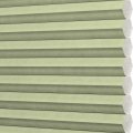 LDC1-4809 Magnolia