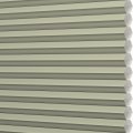 C9XL-GE004 Rosemary