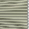 C9XR-GE004 Rosemary