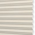 SLK1-4657 Beechwood