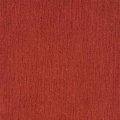 Chili Spice 20535071
