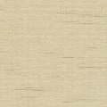 LB01901 Barley
