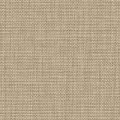 LB01802 Biscuit