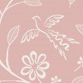LS02702 Rose