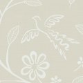 LB02705 Oyster