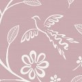 LF02702 Rose