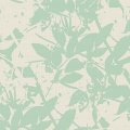 LS02803 Eucalyptus