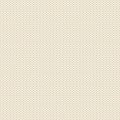 LS04905 Bone