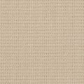 Sandstone 21155109