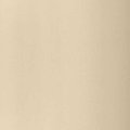 Desert Sand 23089183