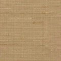 Raffia 21231407