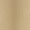 Wheat 21770191