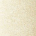 Ivory 23651771