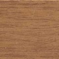 Pecan 23187255