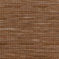 F0869 Cinnamon