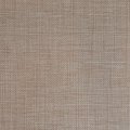F1554 Wheat
