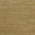F0657 Honey