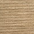 F0661 Dust