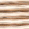 F1291 Sugar Cane