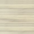 C5001 Sheer Seapearl