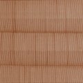 F1528 Glazed Pecan